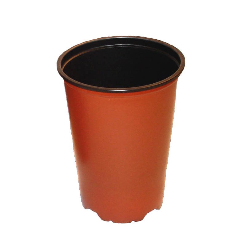 Terracotta Tall Bonsai Training Pot 5"