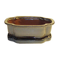 8" Ivory Sculpted Oval Ceramic Bonsai Pot