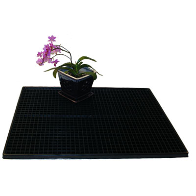 Orchid in 5 inch orchid pot on a Quad grate humidity tray