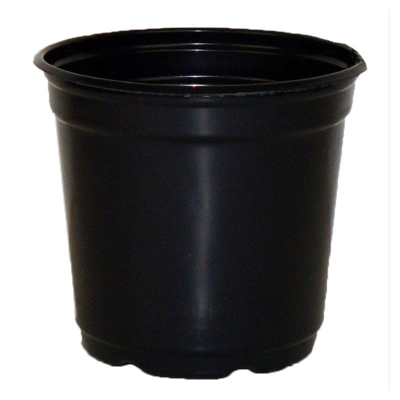 5" Taller Gloss Black Flower Pot