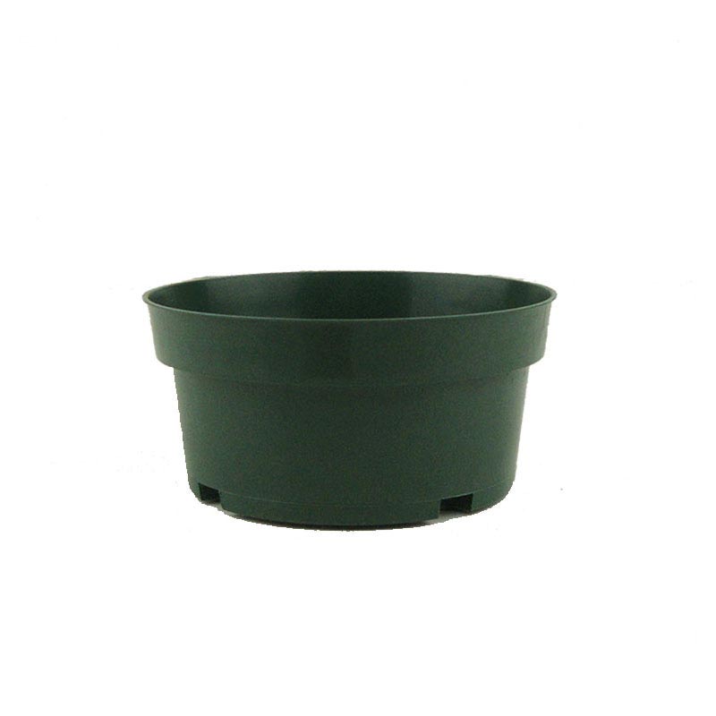 5" Green Bulb Pan