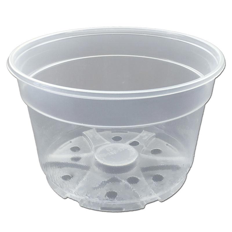 8" Crystal Clear Orchid Pot