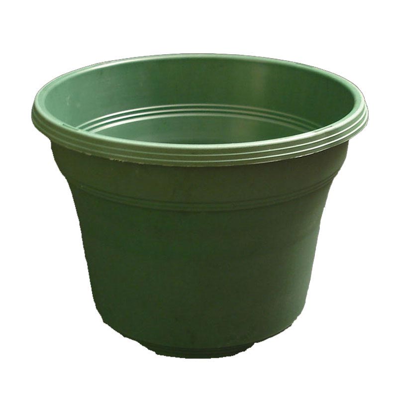 Matte Finish Green Bonsai Training Pot 14"