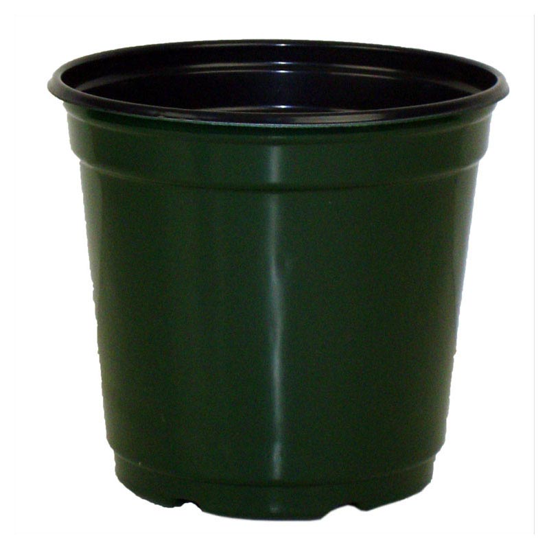 5 Taller Gloss Dark Green Flower Pot 5 Taller Gloss Dark Green Flower Pot