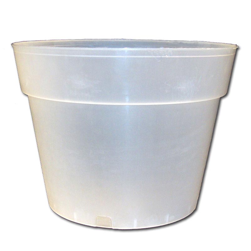 10 Rigid Clear Orchid Pot