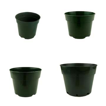 Growers Assortment of Green Plastic Violet Pots