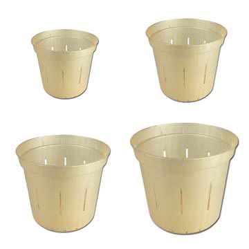 Growers Assortment of Golden Creme Slotted Violet Pots