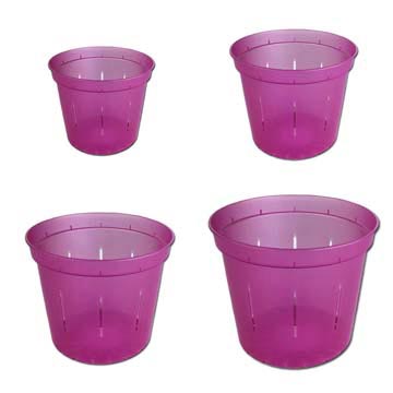 Growers Assortment of Wild Orchid Slotted Violet Pots