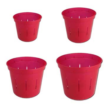 Growers Assortment of Ruby Red Slotted Violet Pots