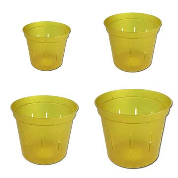 Growers Assortment of Yellow Topaz Slotted Violet Pots