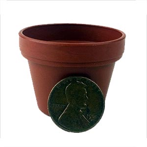 front of miniature plastic pot