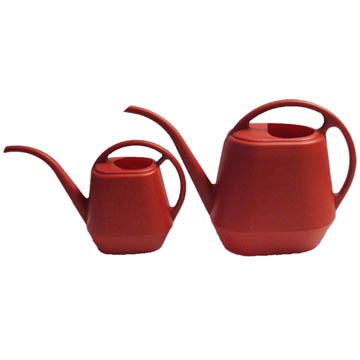 Raspberry Watering Cans