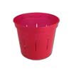 4" Ruby Red Slotted Violet Pot