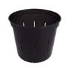 5" Black Onyx Slotted Violet Pot