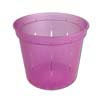 5" Rose Quartz Slotted Violet Pot