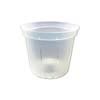 3" Clear Slotted Violet Pot