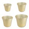 Growers Assortment of 4 Golden Creme Slotted Violet Pots