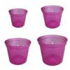 Growers Assortment of 4 Wild Orchid Slotted Violet Pots