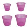 Growers Assortment of 4 Rose Quartz Slotted Violet Pots