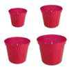 Growers Assortment of 4 Ruby Red Slotted Violet Pots