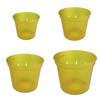 Growers Assortment of 4 Yellow Topaz Slotted Violet Pots