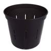 6" Black Onyx Slotted Violet Pot 