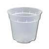 Rigid Clear Plastic Pot - 4"