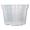 Rigid Clear Plastic Pot - 6"