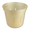 6" Golden Creme Slotted  Orchid Pot 