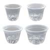 Growers Assortment of Crystal Clear Pots