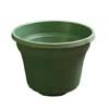 Matte Finish Green Plastic Violet Pot - 12"