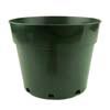 Green Plastic Violet Pot - 8" - 