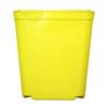 5.5" Jumbo Yellow Square Pot