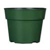 Oxygen Core Dual Pot - 6.5" Green