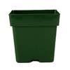 5.5"  Green Square Bonsai Training Pot