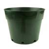 Green Bonsai Training Pot - 8" - 