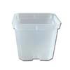 Clear Square 4" Bonsai Training Pot