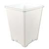 6" White Square 8" Tall Giant Pot