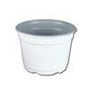White Plastic Violet Pot - 5"